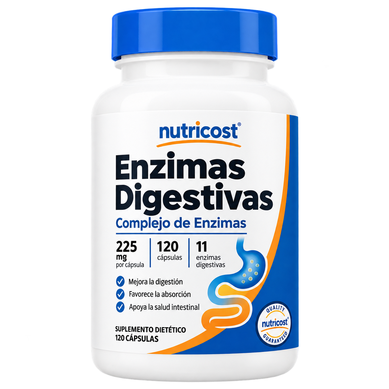 Enzimas Digestivas