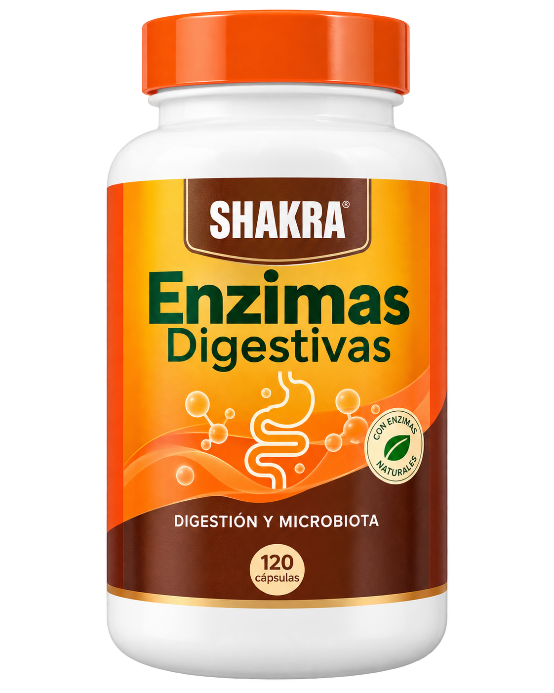 Enzimas Digestivas