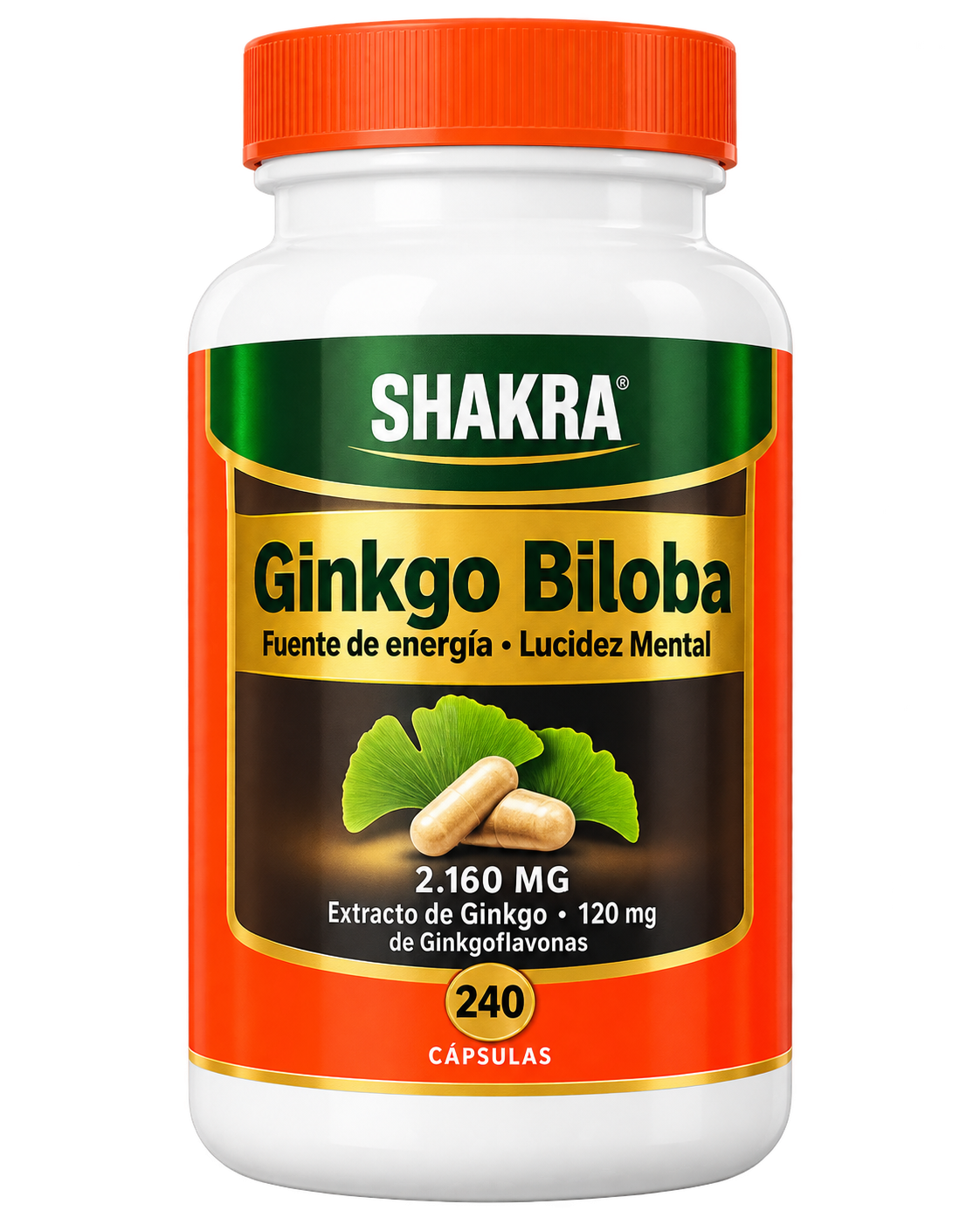 Ginkgo Biloba